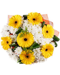 bouquet of chrysanthemums with gerberas